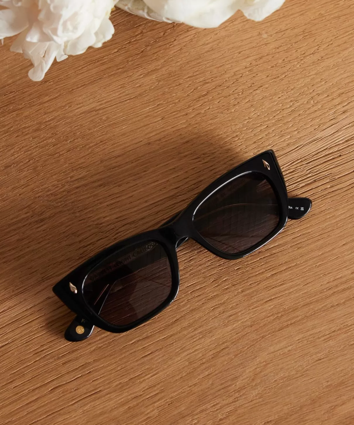 Women Jenni Kayne Webster Sunglasses